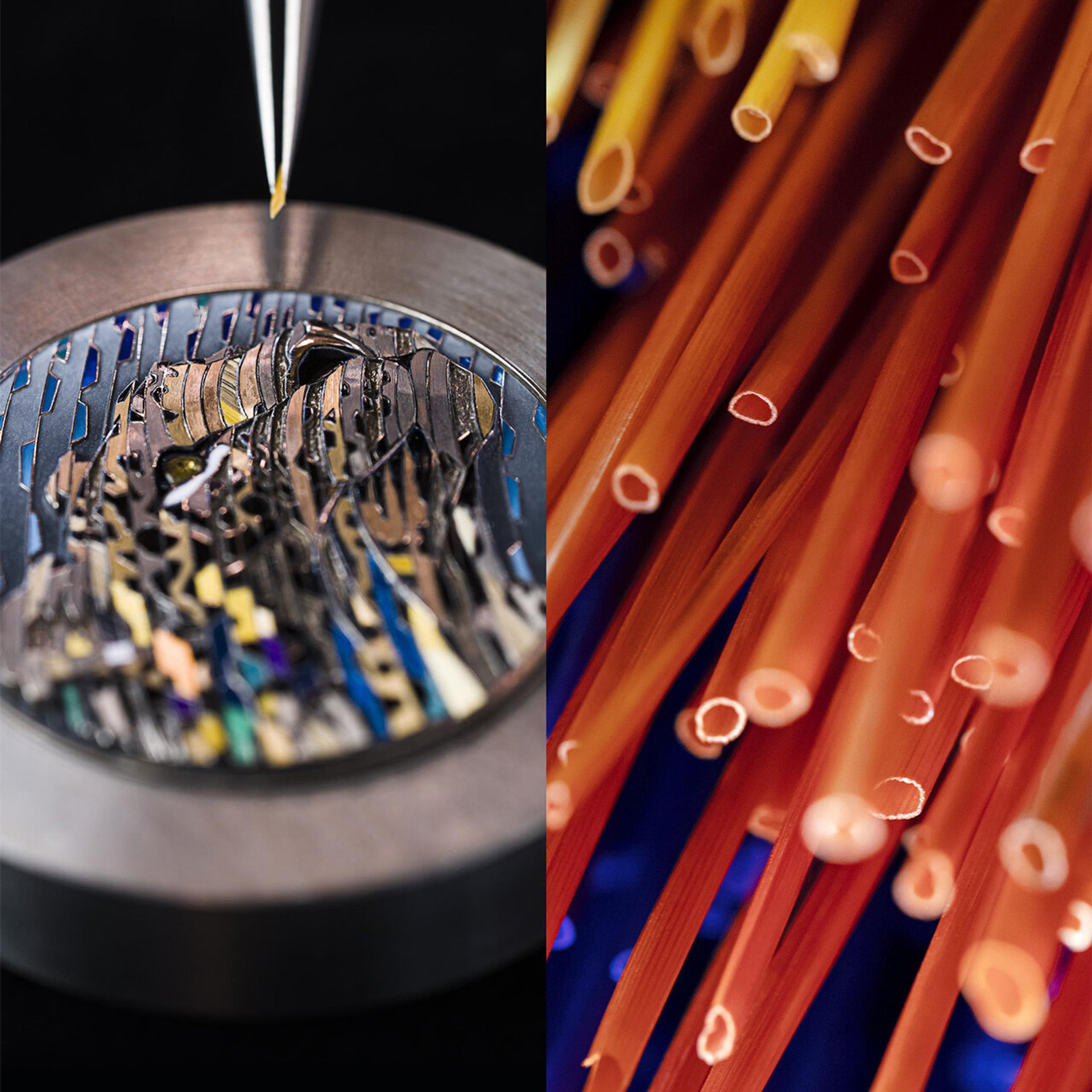 The Cartier dial during marquetry work, and dyed blades of straw